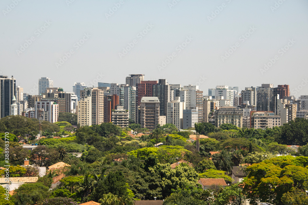 Fototapeta premium view from the top of são Paulo