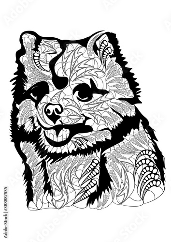 dog on white