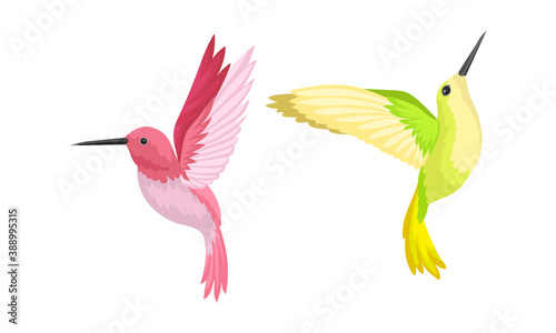 Hummingbirds as Small Bird with Beating Wings and Bright Plumage Vector Set