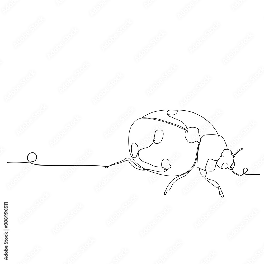 Ladybug - one line drawing. Vector illustration continuous line drawing ...
