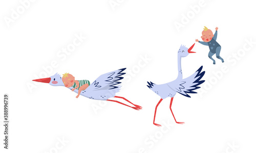 Feathered Stork with Long Beak Carrying and Nursing Baby Vector Set