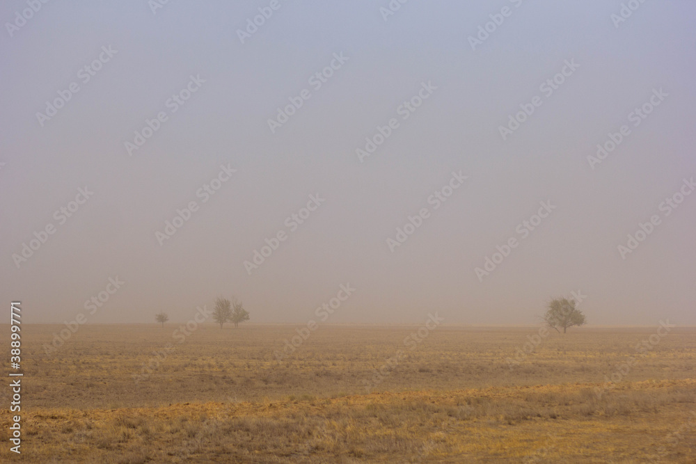 Steppe in dust because of strong wind in Kalmykia Republic Russia Steppe in dust because of strong wind in Kalmykia Republic Russia