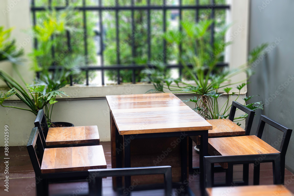 Fototapeta premium Green plants feel fresh surroundings, stock photo