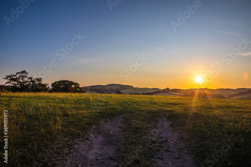 sunset over the field