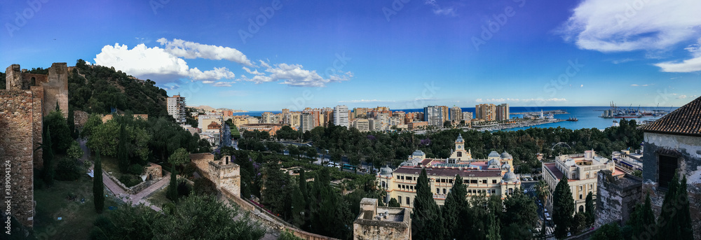 Fototapeta premium Panoramic view of the city with houses and trees