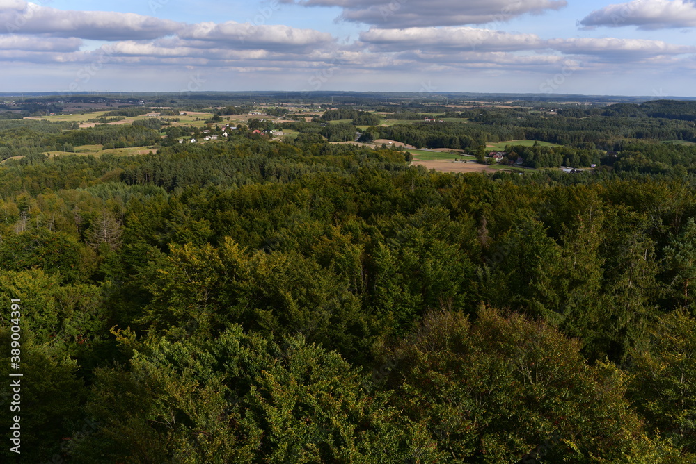 View from observation tower located at the top of the Wiezyca hill, Poland.  Summer time.