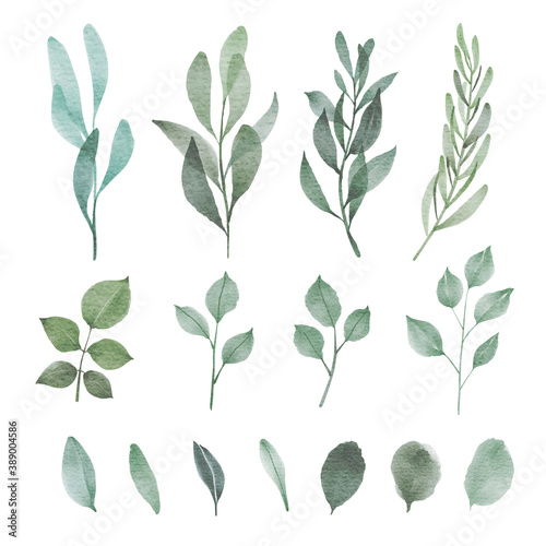 Set of watercolor leaf. Floral painted with watercolor for greeting and invitation card decoration.
