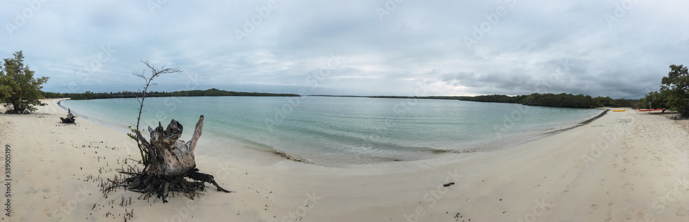 Caribbean beach with fine sand and clear water