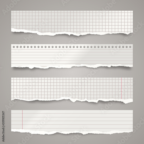 Ripped paper strips. Realistic crumpled paper scraps with torn edges. Lined shreds of notebook pages. Vector illustration.