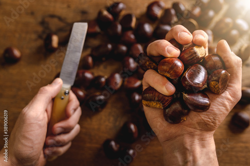 Close up point of view from the top with man hands holding a knife cutting chestnuts  to cook on the fire. Wooden background. Plenty  autumn  taste concept.