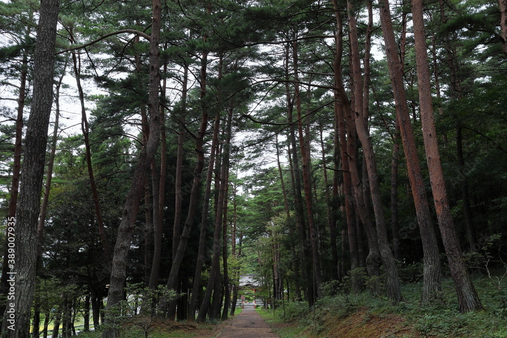 Naklejka premium 日本 遠野の風景