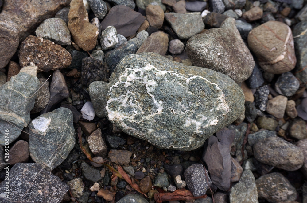 Detail and texture stone on the coast with selective focus. Detail and texture stone on the coast with selective focus.