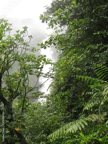 Première chute du Carbet, Guadeloupe photo