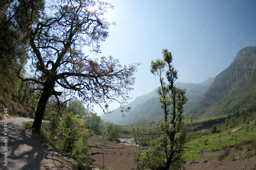 Himalayan foothills, India, Hindu sacred sites, Tungnath, Spring in the Himalayas, Shiva temple
