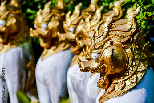 Photography Beautiful photo picture taken in thailand, Asia