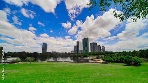 Colourful green park in Sydney with a large pond and apartment towers in the background 