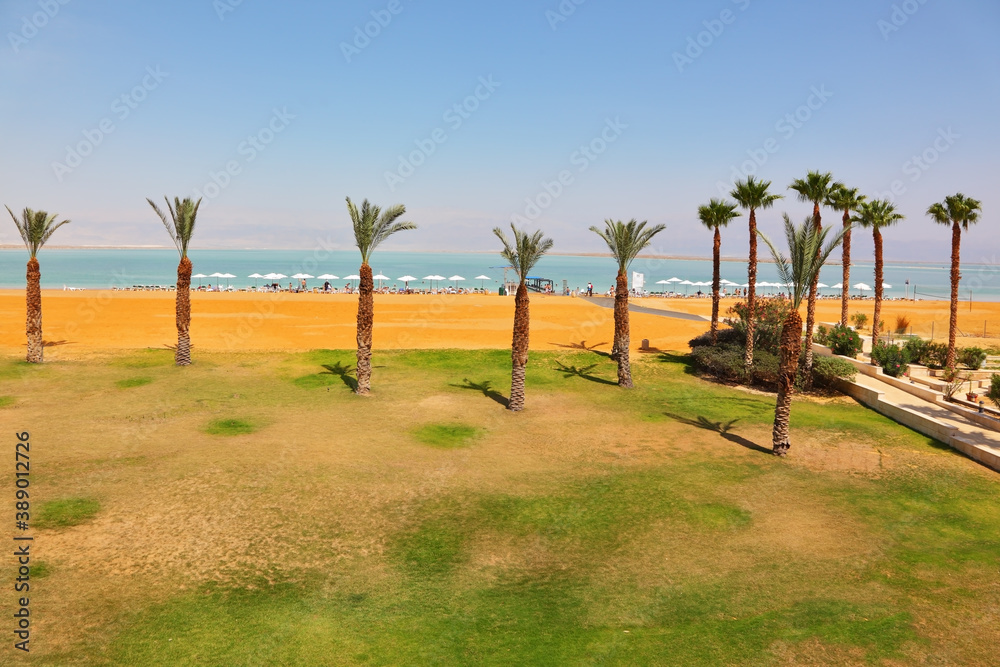 Medical beach in sunny spring day