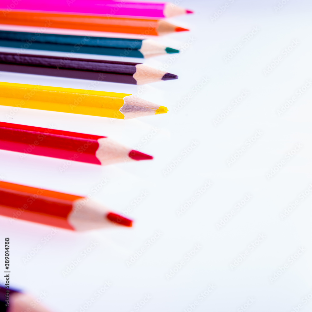 Colored pencils on a white background, copy space, isolated, close-up, side view