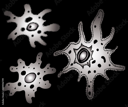 Vector image of silhouettes decorative amoebas