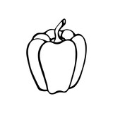 Pepper. Hand drawn vector illustration in sketch style. Black and white image of vegetables.