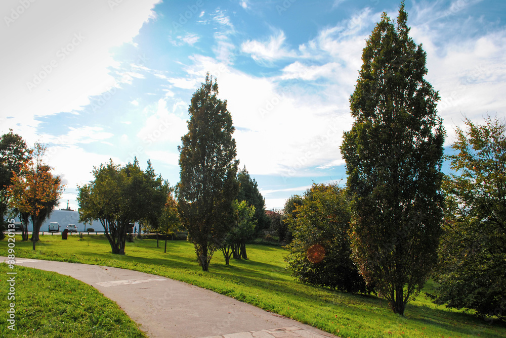 árbol, aparcar, paisaje, árbol, césped, naturaleza, cielo, verde, verano, carretera, bosque, primavera, otoñal, azul, campa, camino, alegre, césped, nube, huerta, al aire libre, dehesa, campestre, cam