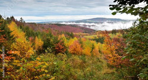 Fall season nature autumn landscape