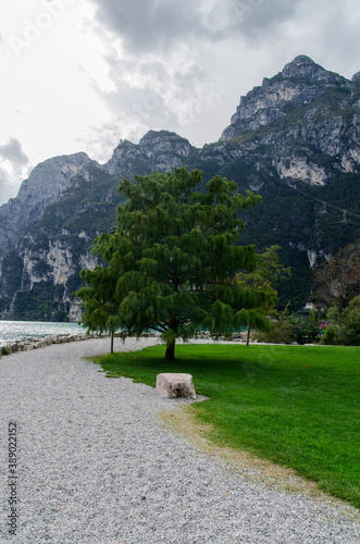 Brzeg jeziora Garda 