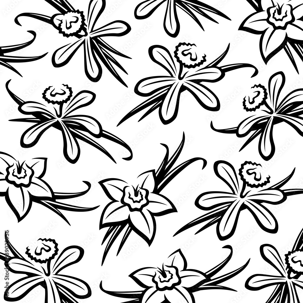 Vanilla pattern background set. Collection icon vanilla. Vector