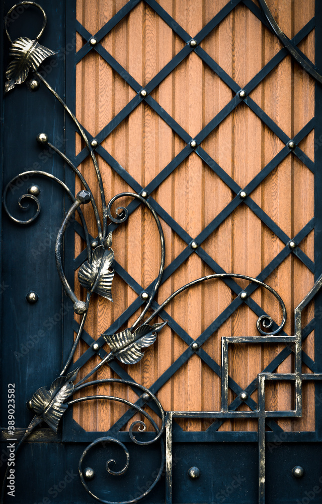 Beautiful decoration forged metal doors. Beautiful decoration forged metal doors.