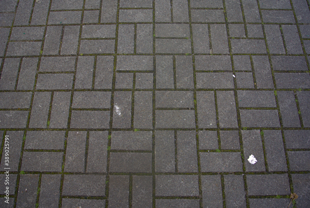 paving stone texture in the street