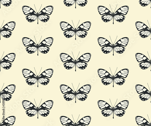 Seamless vector butterflies pattern. Butterfly print. Trendy animal motif wallpaper. Fashionable background for fabric  textile  design  banner  cover  web etc.