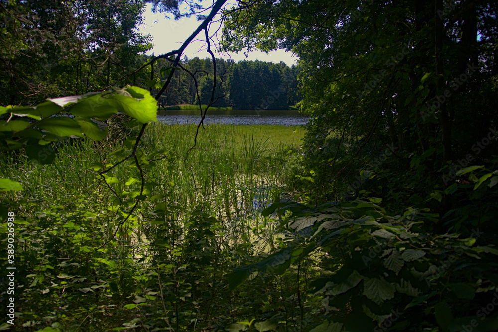 Sneaky lake view