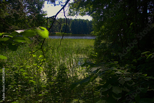 Obraz na płótnie Sneaky lake view w salonie