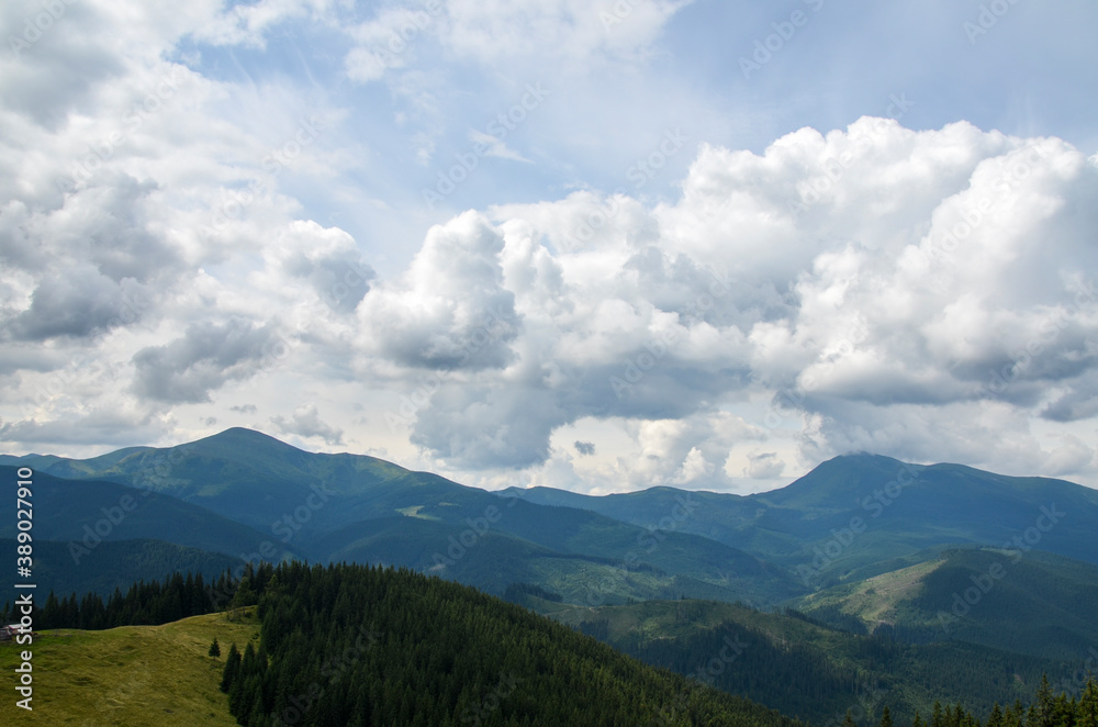 View over spruce forest, green meadow and Chornohora ridge with mount Hoverla and Petros under low clouds in the overcast sky. Carpathian Mountains, Ukraine