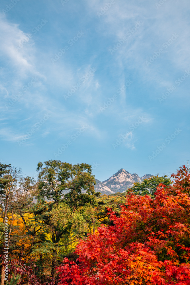 Fototapeta premium Bukhansan mountain at autumn in Seoul, Korea