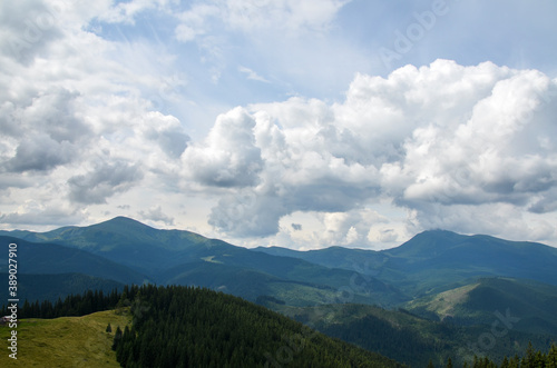 View over spruce forest  green meadow and Chornohora ridge with mount Hoverla and Petros under low clouds in the overcast sky. Carpathian Mountains  Ukraine