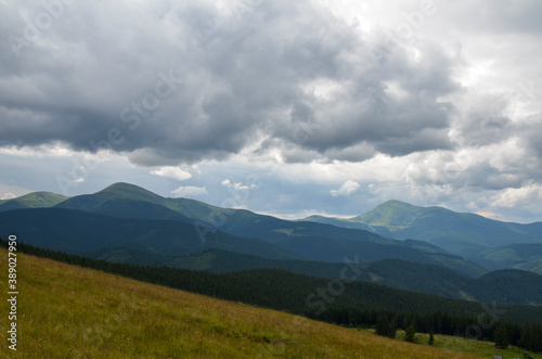  View over spruce forest, green meadow and Chornohora ridge with mount Hoverla and Petros under low clouds in the overcast sky. Carpathian Mountains, Ukraine