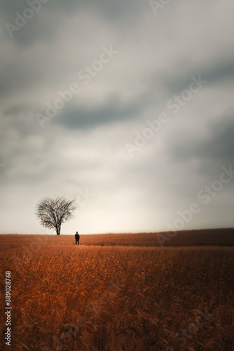 _DSC5234-Edit-Edit