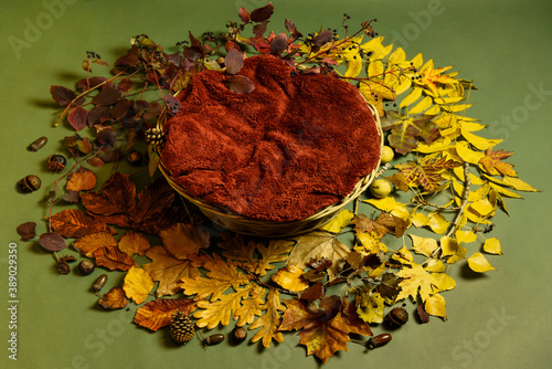 sfondo a tema autunnale per fotografia di neonati, con decorazione di foglie a sfumature di colori autunnali, cesta di vimini e coperta arancione scuro