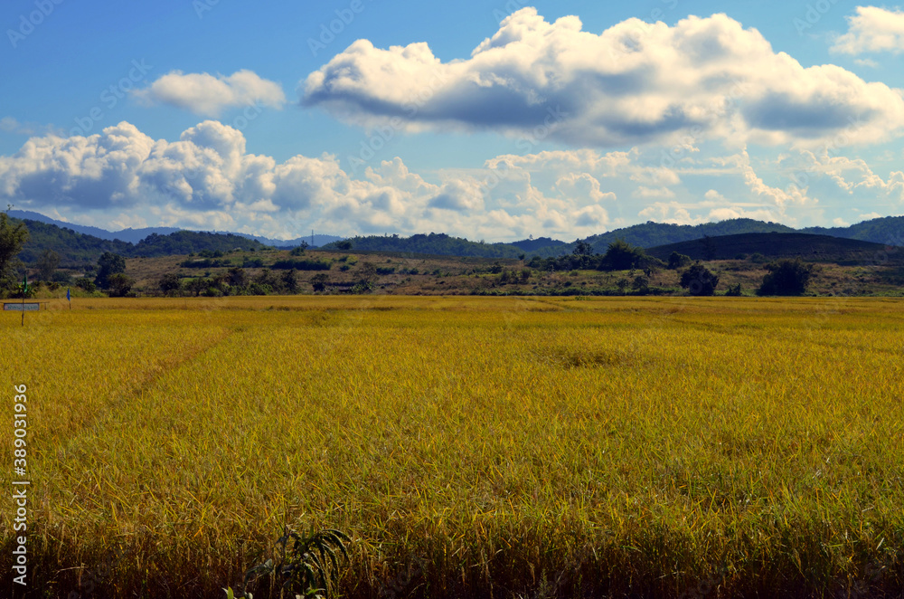 Thailand - Countryside on the way to Mae Sai