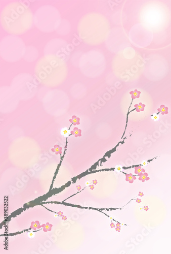 冬の景色　梅の咲く空　ピンク