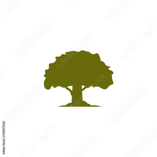 Cedar tree vector icon illustration design template