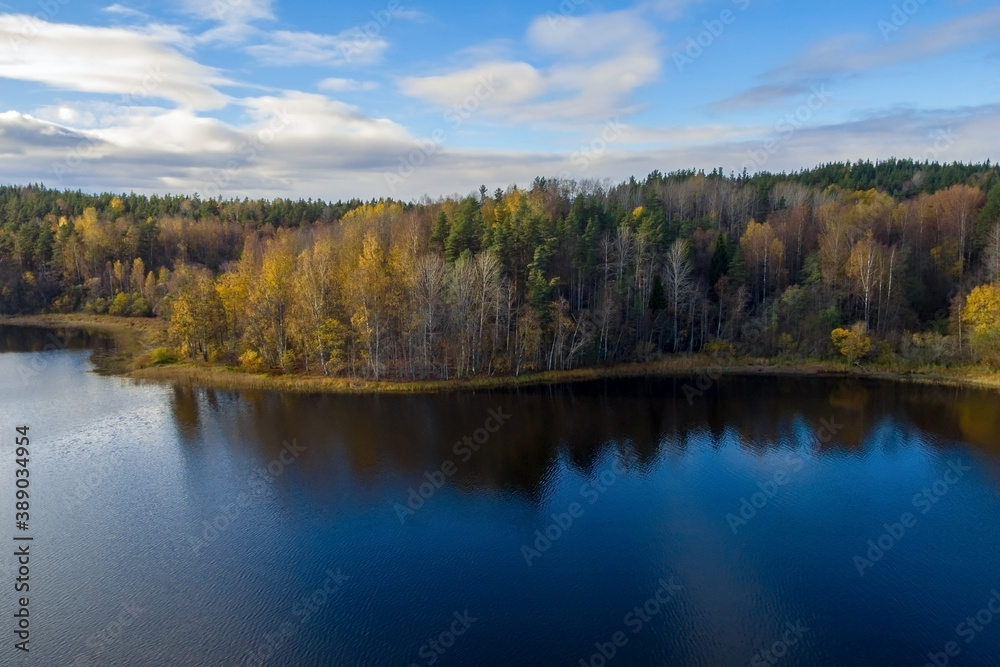 Deciduous autumn forest, reflected in the calm water of Lake Ladoga, against a blue sky with a few white clouds