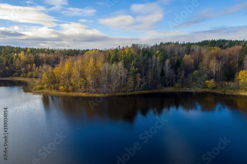 Deciduous autumn forest, reflected in the calm water of Lake Ladoga, against a blue sky with a few white clouds