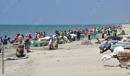 Escena de pesca grupal con redes en la isla de Mannar, Sri Lanka photo