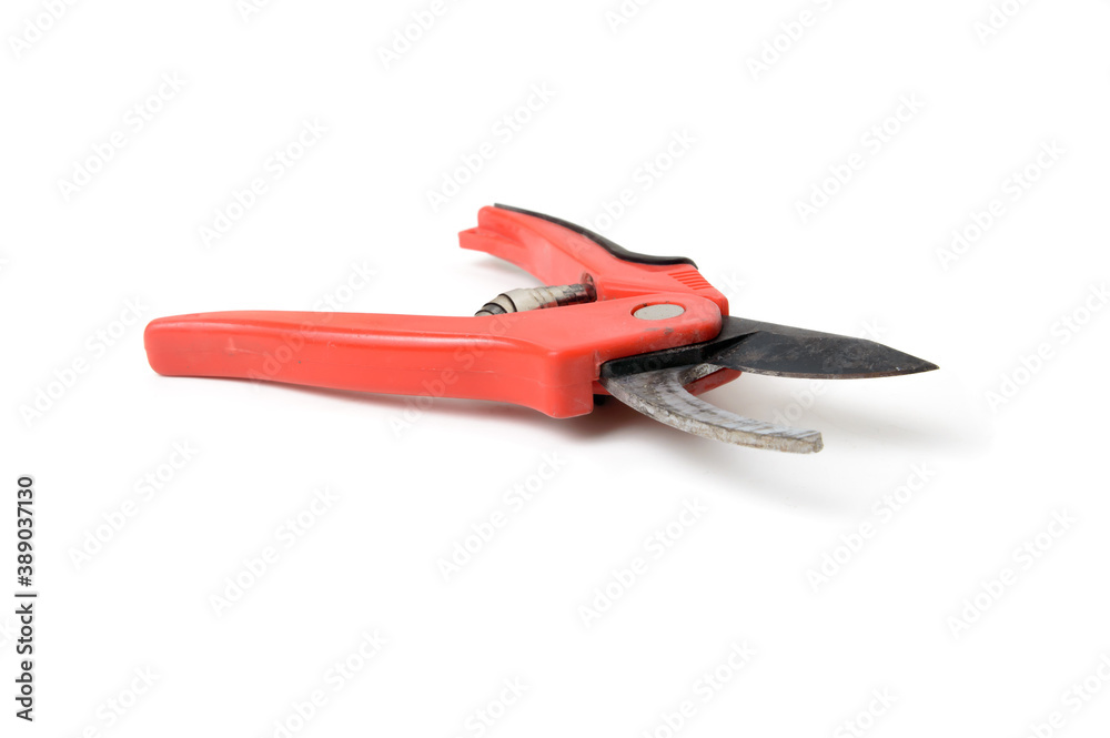 Red pruning shears, garden secateurs or hand pruners are garden tools used in gardening for cutting tree branches and landscaping gardens, isolated on white background Red pruning shears, garden secateurs or hand pruners are garden tools used in gardening for cutting tree branches and landscaping gardens, isolated on white background