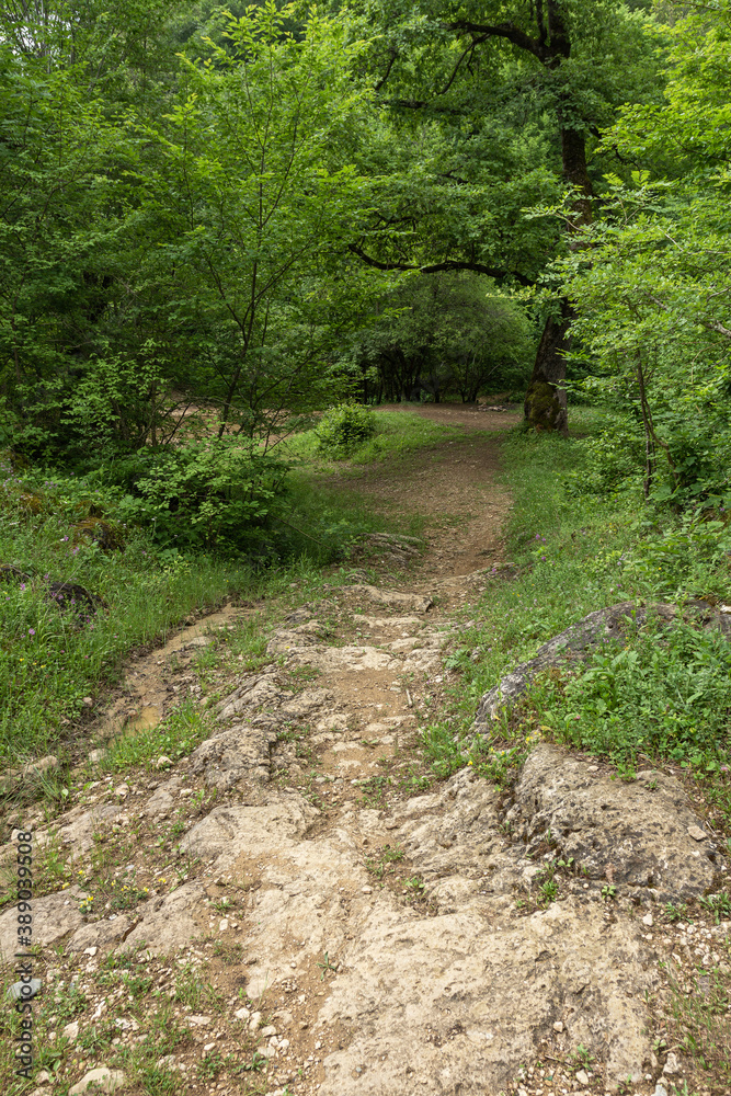 Forest dirt road on a stone base on a summer day in dry weather. Forest dirt road on a stone base on a summer day in dry weather.
