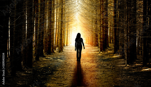 Frau auf einem Waldweg von Dunkel ins Licht