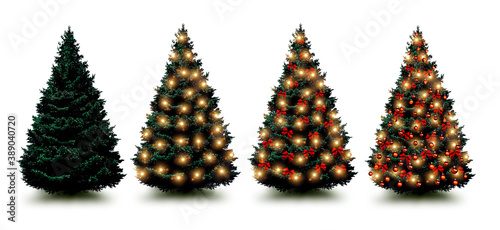 Tannenbaum mit Leuchtender Lichterkette