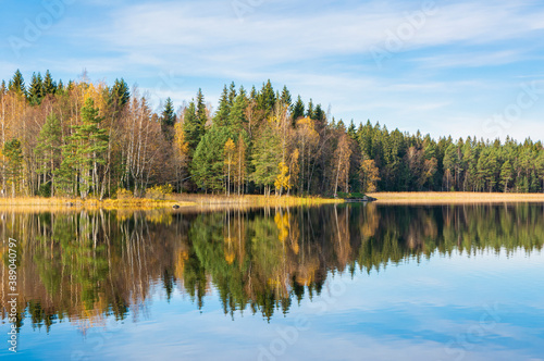 Autumn view of Liesjarvi National Park and The Lake Kyynara, wooden bridge and lake, Tammela, Finland © hivaka